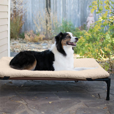 Lit de camp pour chien CampBed grand noir blanc chien