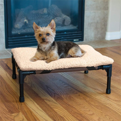 Lit de camp pour chien CampBed petit noir chien