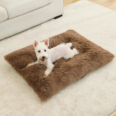 Lit pour chien BedsCanineFor brun blanc chien