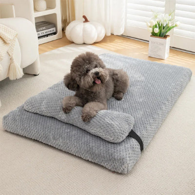 Lit pour chien LitForYourDog coucher gris clair chien
