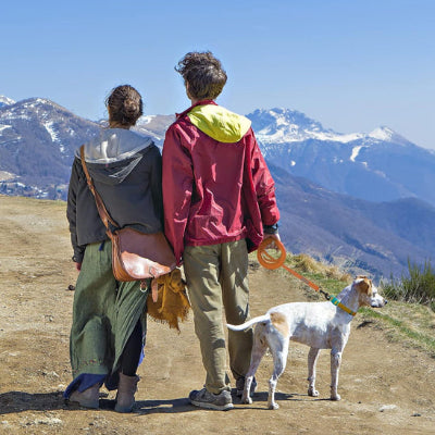 Longe chien KiwisCanineLeash il regarde la montagne avec la laisse orange, chien