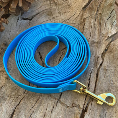Longe chien KiwisCanineLeash laisse bleu chien