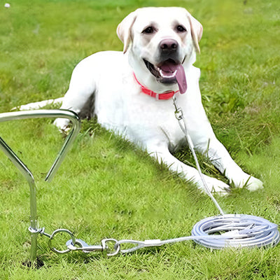 Longe chien MiniDogsJusticiers blanc est coucher, chien