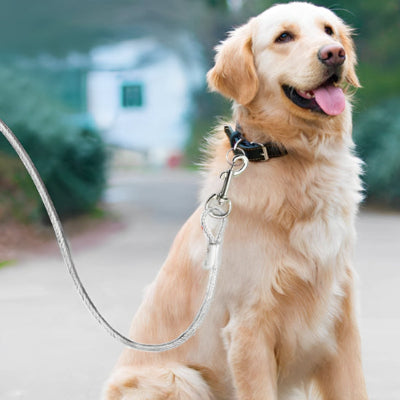 Longe chien MiniDogsJusticiers crème est assis chien