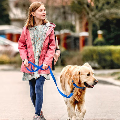 Longe pour chien DinoDogLeash il marche avec la laisse bleu, chien