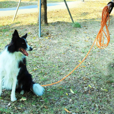 Longe pour chien MoukDogsLeashs assis avec la laisse orange chien
