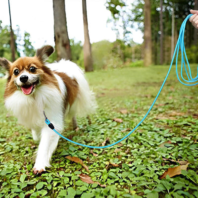 Longe pour chien MoukDogsLeashs laisse bleu chien