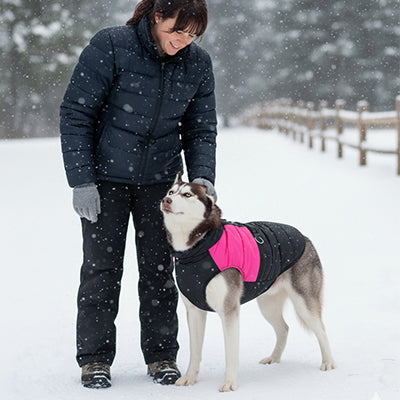 Manteau chien ImperStyleWarm rose debout noir chien