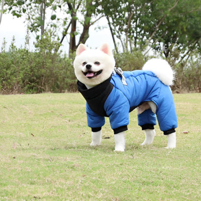 Manteau pour chien CanineJacket bleu chien