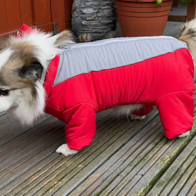 Manteau pour chien CoatFinales brun rouge chien