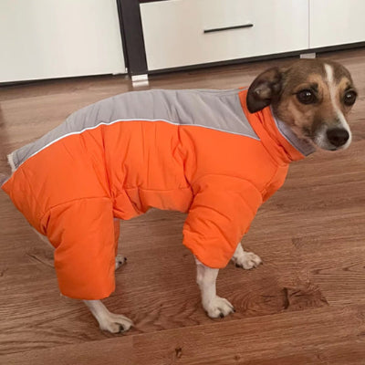 Manteau pour chien CoatFinales orange chien