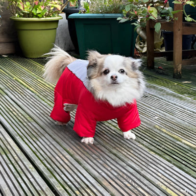 Manteau pour chien CoatFinales rouge blanc chien