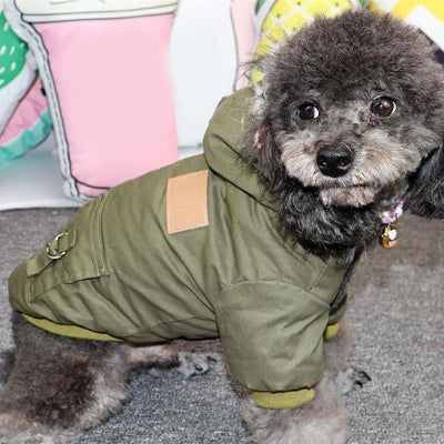 Manteau pour chien DoggyArctique assis vert brun chien