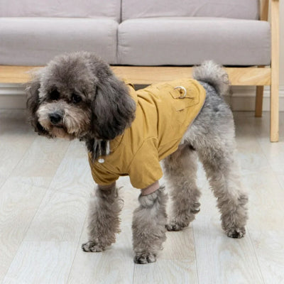 Manteau pour chien DoggyArctique kaki debout brun chien