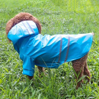 Manteau pour chien PremiCanine bleu brun debout chien