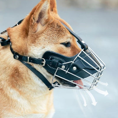 Muselière CanCanineMouthGuardFor assis brun noir chien