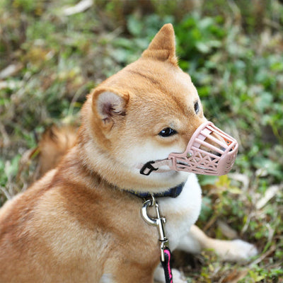 Muselière CanCanineMouthGuardMuz beige pâle, coucher, brun chien