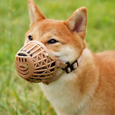 Muselière CanCanineMouthGuardMuz brun beige foncé chien