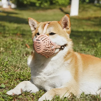 Muselière CanCanineMouthGuardMuz coucher beige foncé chien