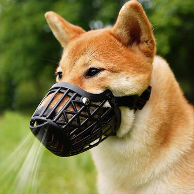Muselière CanCanineMouthGuardMuz noir brun chien