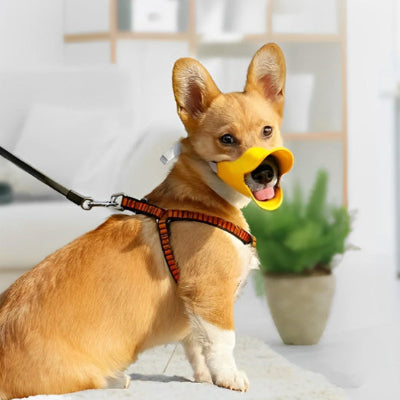Muselière CanDogsMuzzlesZel brun assis jaune chien
