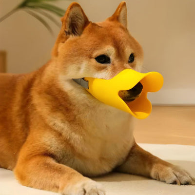 Muselière CanDogsMuzzlesZel coucher jaune brun chien