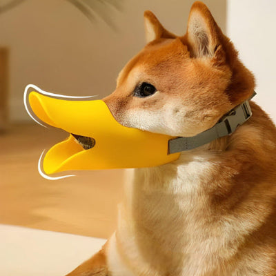 Muselière CanDogsMuzzlesZel jaune brun, coucher chien