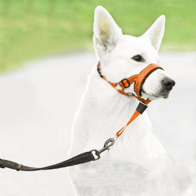 Muselière CansDogsMuzzlesCans rouge blanc chien