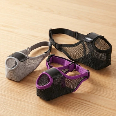 Muselière chien TheSafeComfort gris violet noir chien
