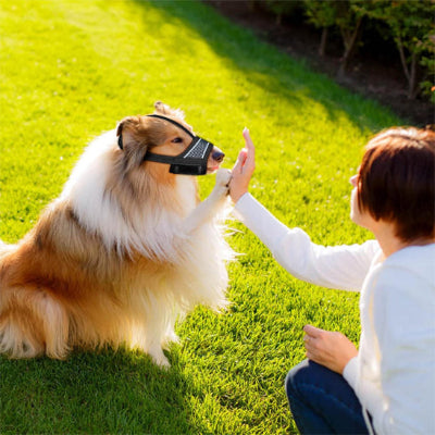 Muselière pour chien MuzCan assis noir brun chien