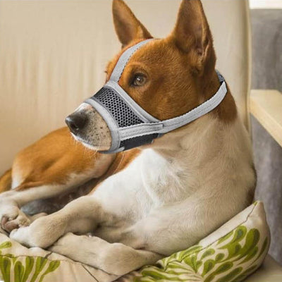 Muselière pour chien MuzCan coucher, brun gris chien