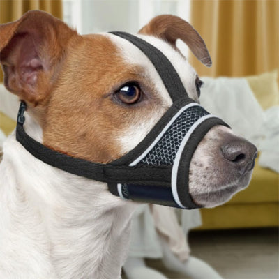 Muselière pour chien MuzCan noir brun assis chien