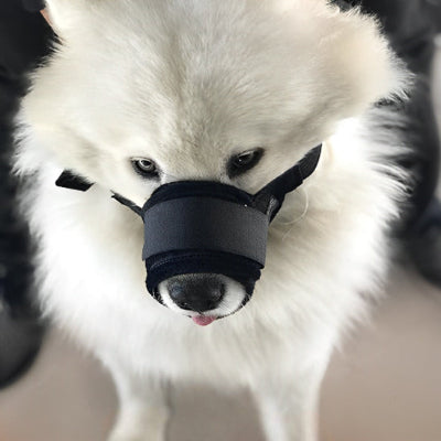 Muselière pour chien MuzNine blanc noir debout chien
