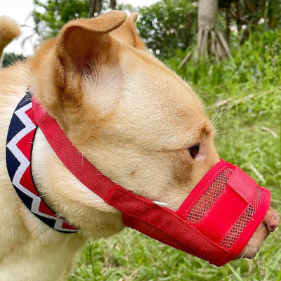 Muselière pour chien MuzNine brun assis rouge chien