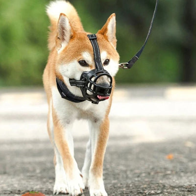 Muselière pour chien MuzYour marche, brun chien