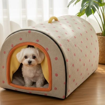 Niche chien ComfortableAndStylish jaune orange assis blanc chien