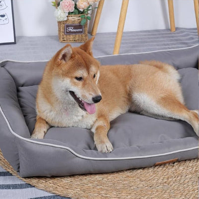 Panier chien ComfortableWashable gris regarde assis chien