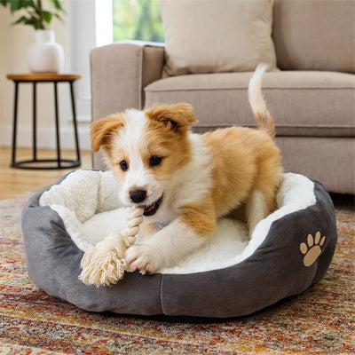 Panier chien PleasantComfort gris, couche blanc brun chien