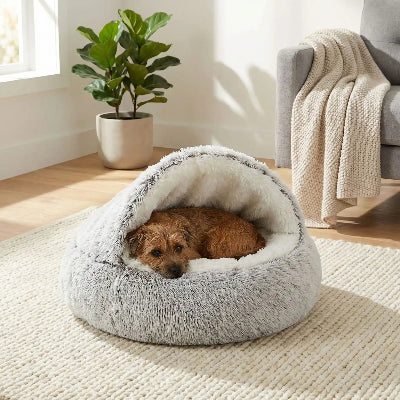 Panier chien SustainableComfortable blanc gris salon brun chien