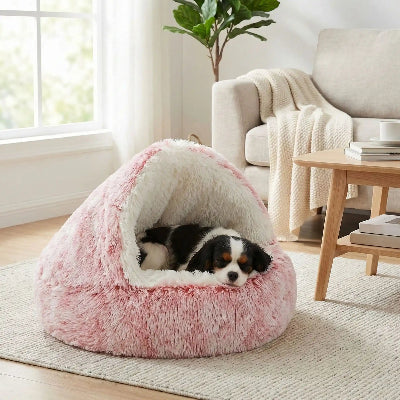 Panier chien SustainableComfortable blanc rose salon chien