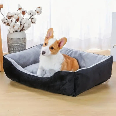 Panier pour chien ConfortLavable noir assis blanc brun chien