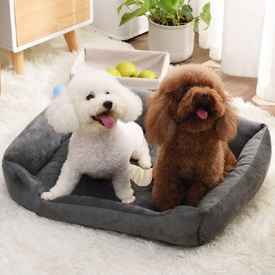 Panier pour chien CozyResistant gris assis blanc brun chien