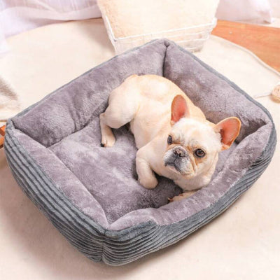 Panier pour chien CozyWashable gris coucher blanc chien