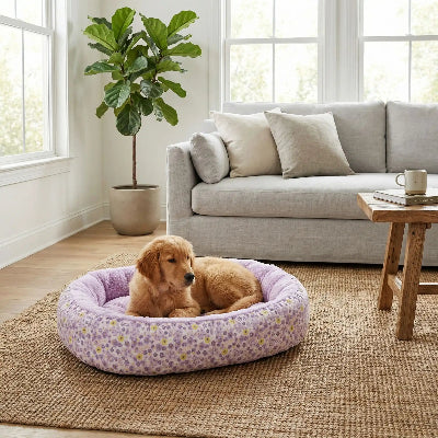 Panier pour chien DouilletConfort violet coucher brun chien