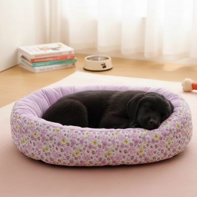 Panier pour chien DouilletConfort violet noir coucher chien