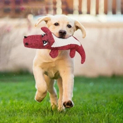 Peluche pour chien AlliPelu rouge courir chien