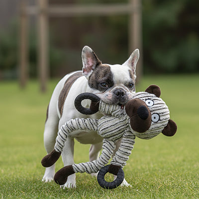 Peluche pour chien DurableExtra petit ours jouet noir blanc chien