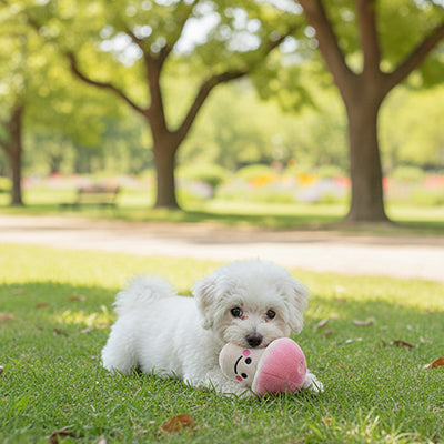 Peluche pour chien ExtraStrong rose blanc coucher chien