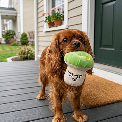 Peluche pour chien ExtraStrong vert brun debout chien