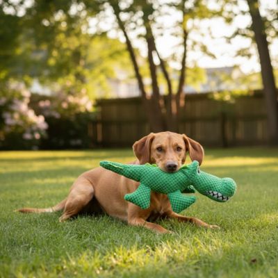 Peluche pour chien HardWearing alligator couché brun chien